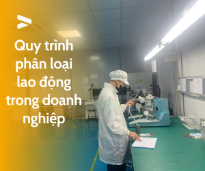 Quy trình phân loại lao động trong doanh nghiệp
