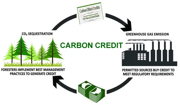 Quy định về tín chỉ carbon