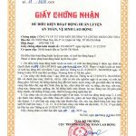 crs vina huan luyen an toan lao dong